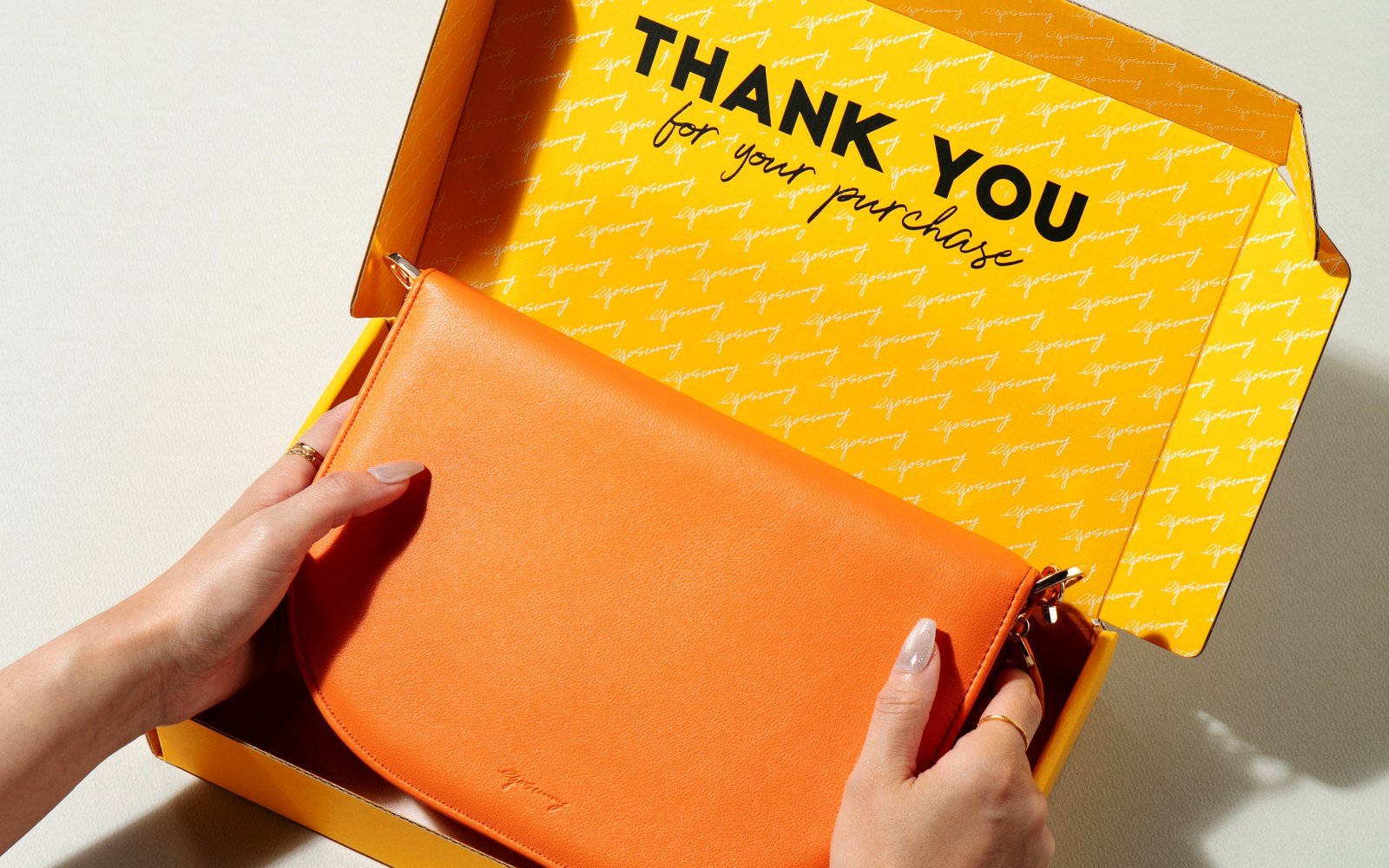 The Luna planner being lifted from its gift box