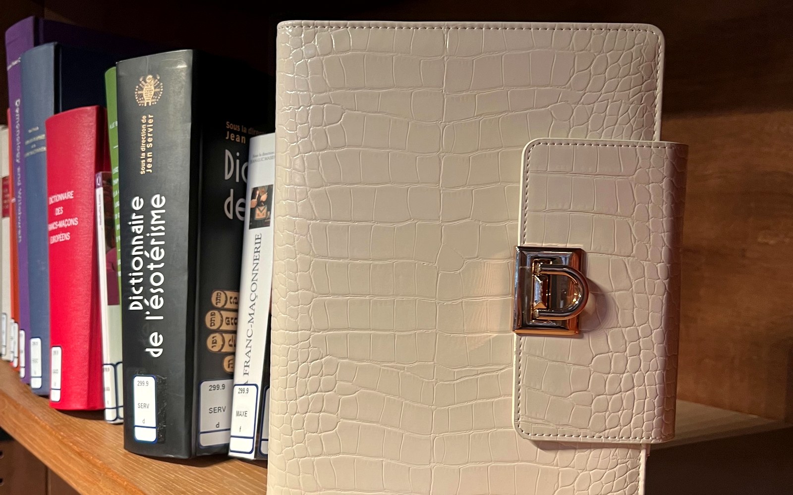 EGOSUNNY Croco planner on a bookshelf