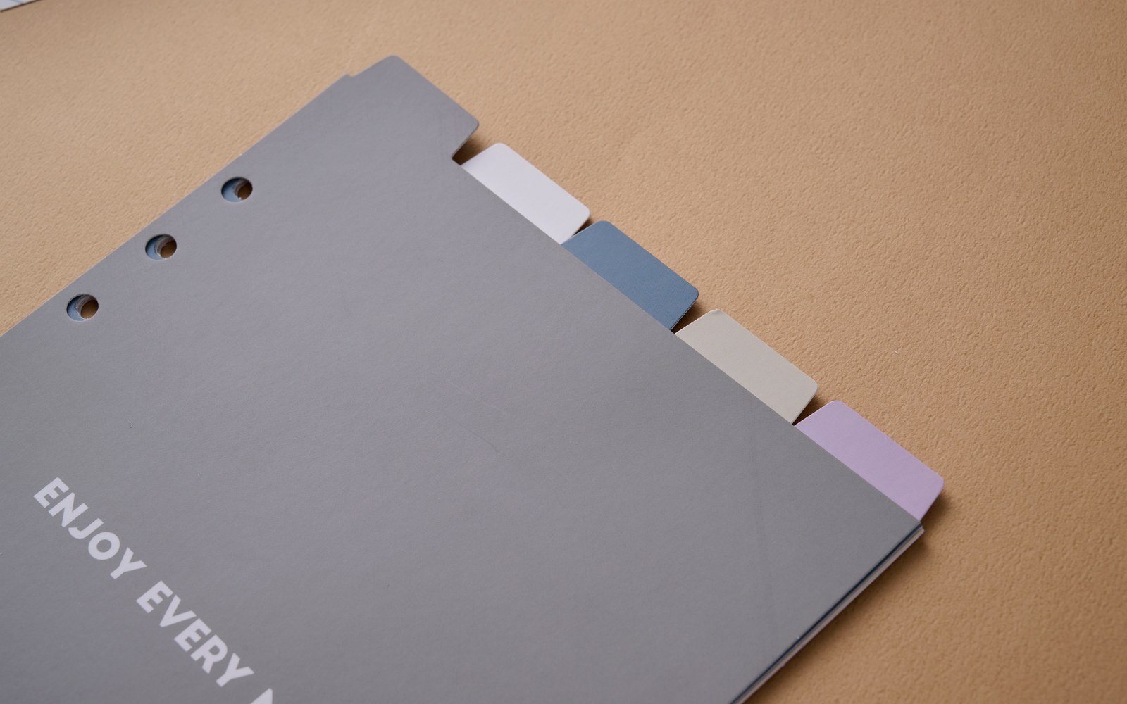 Dividers and pages ready to organize a new refillable planner