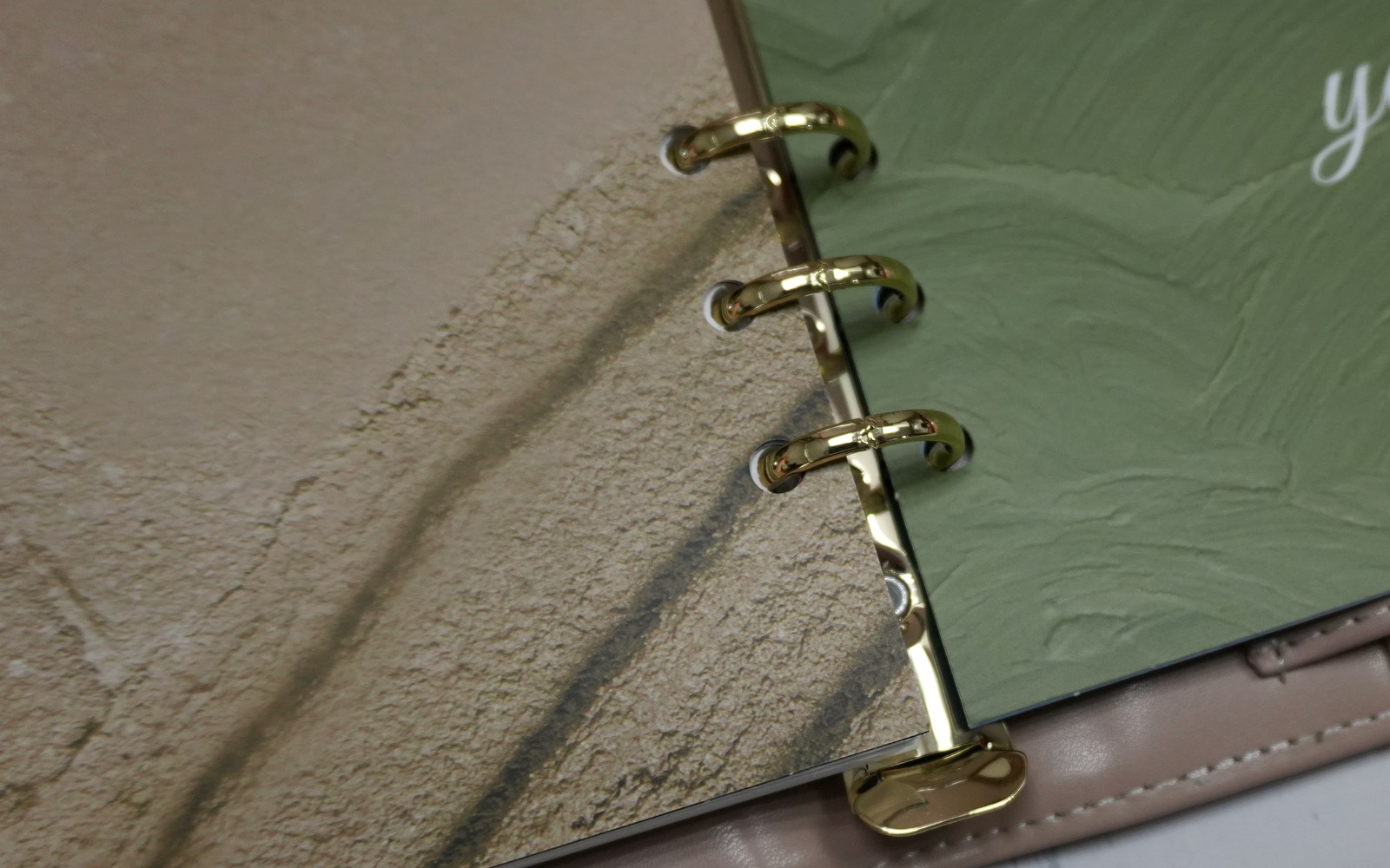 Gold rings and a green insert inside an open EGOSUNNY planner