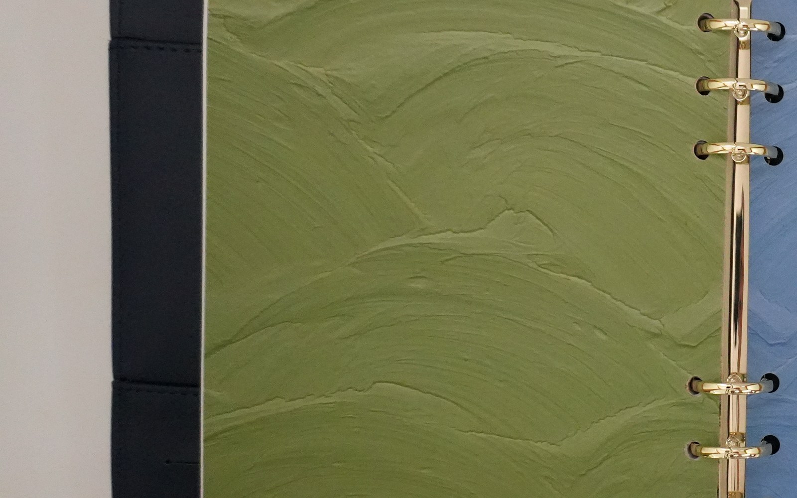 Green divider and gold rings inside an open EGOSUNNY Terence