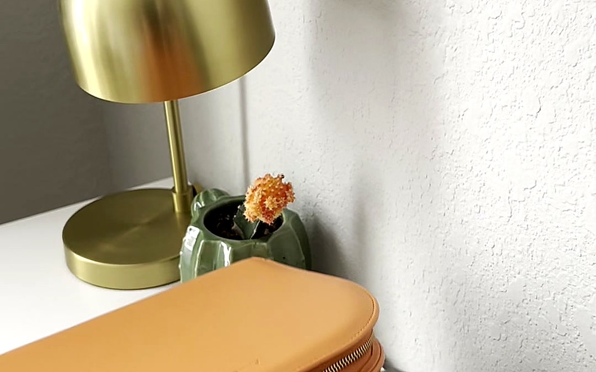 Tan EGOSUNNY planner beside a gold lamp and a small plant