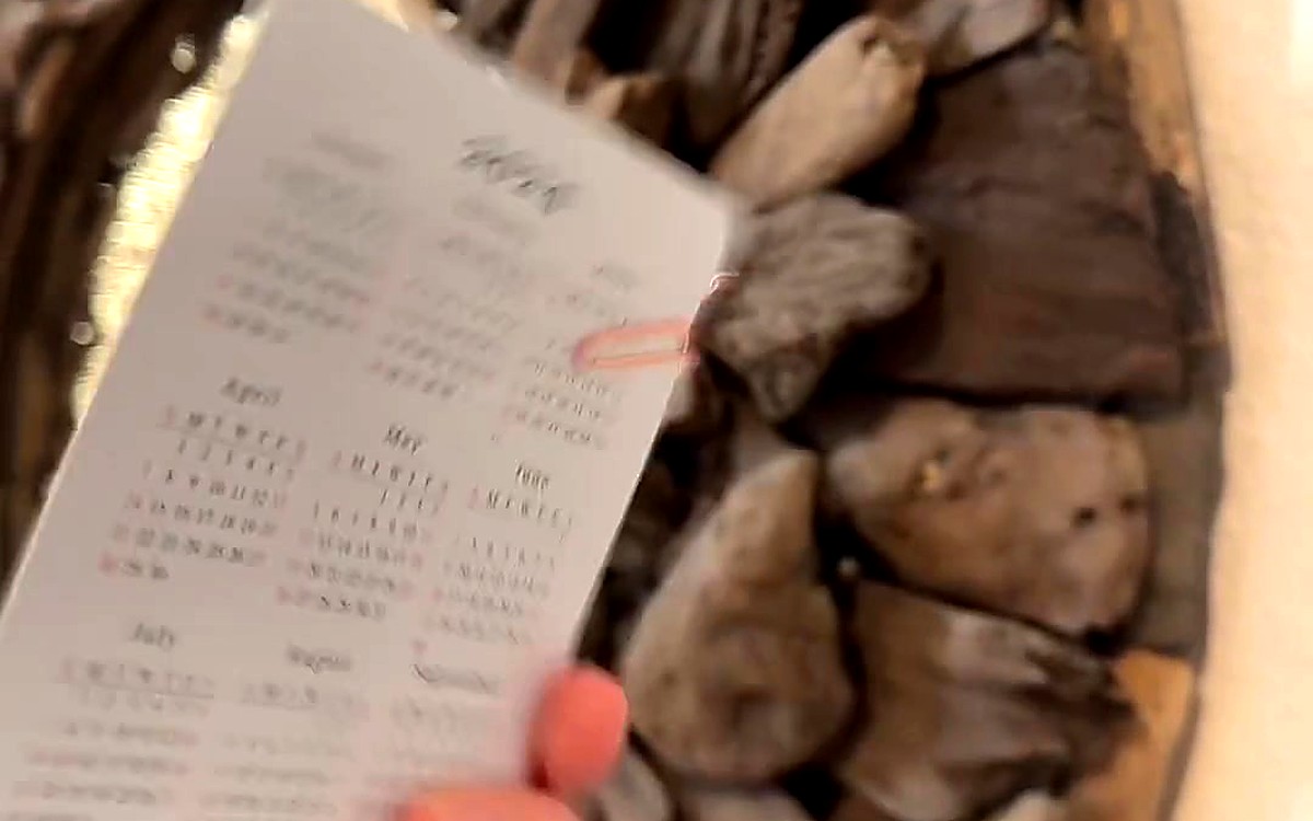 Hand holding a printed schedule card beside driftwood